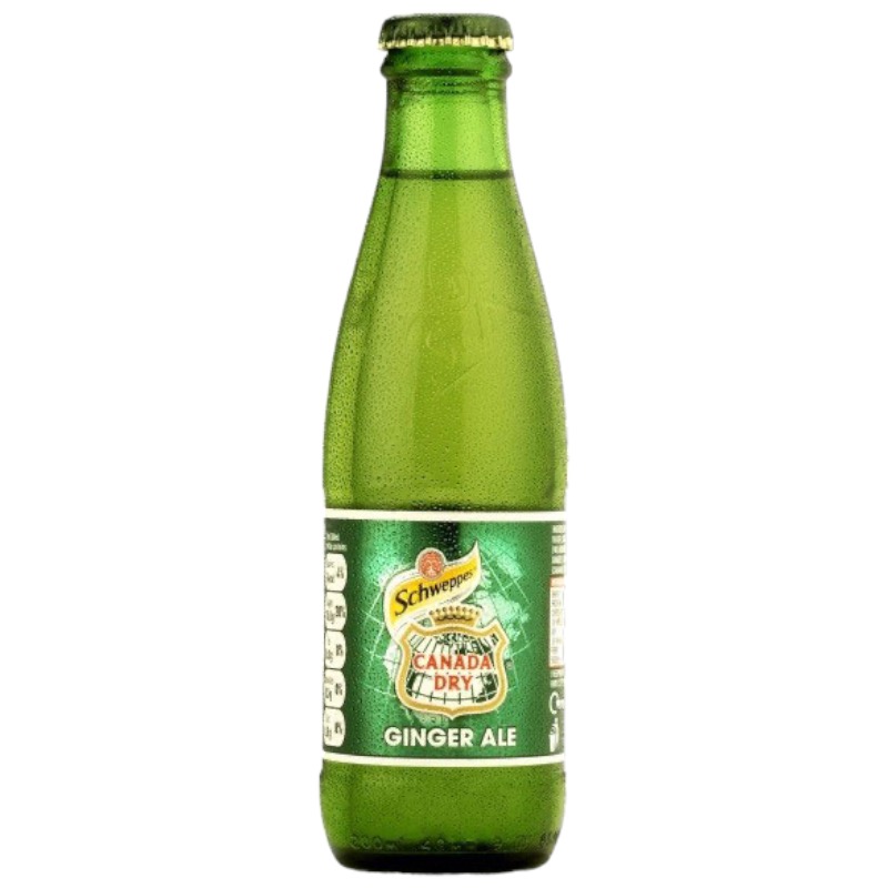 CANADA DRY GINGER ALE 24 X 125ML