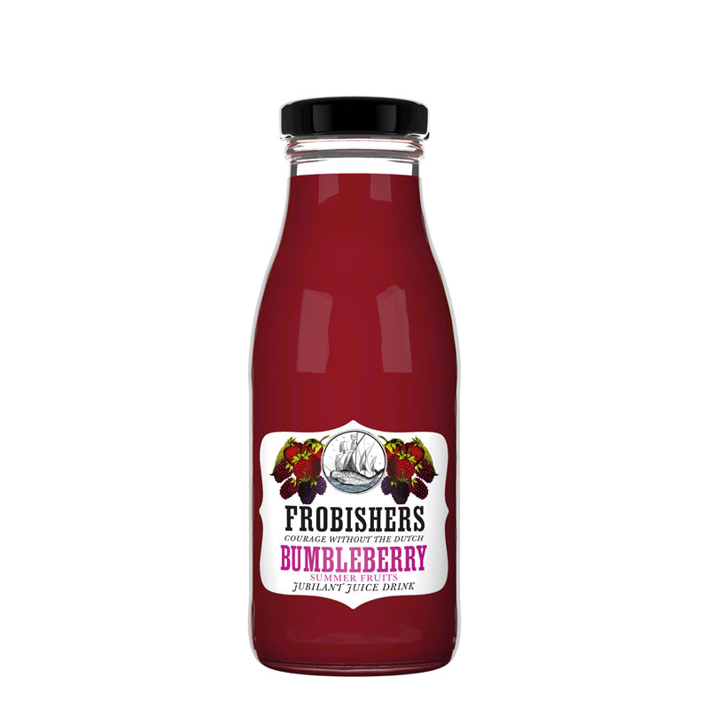 FROBISHERS BUMBLEBERRY 24 X 250ML