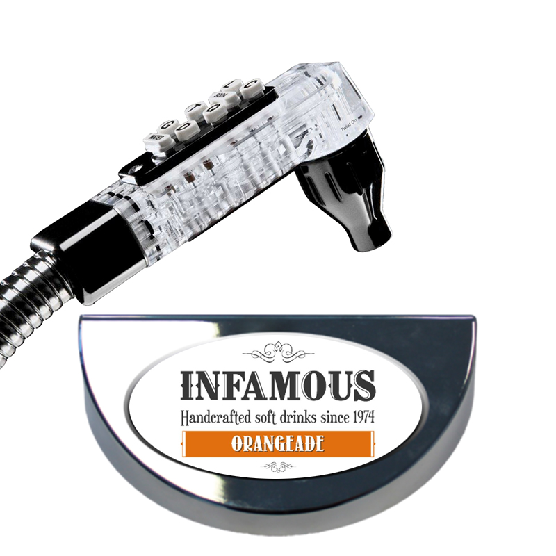 Infamous Orangeade Charge BIB