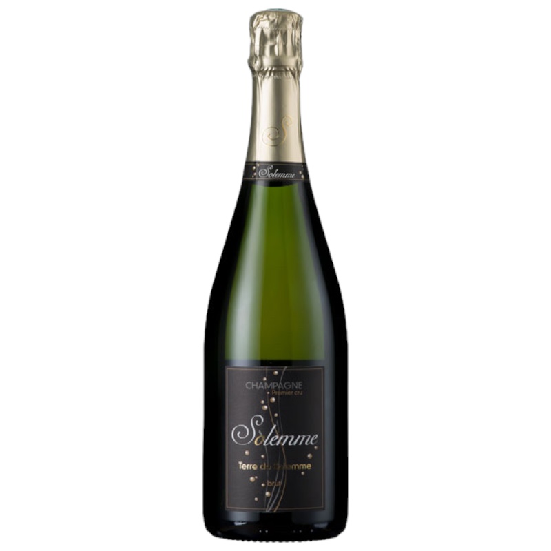 Terre de Solemme Champagne